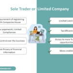 sole trader vs limited company for beginners