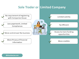 sole trader vs limited company for beginners