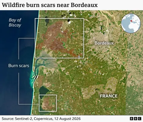 A satellite image showing wildfire burn marks across a large area of land in south-western France near Bordeaux
