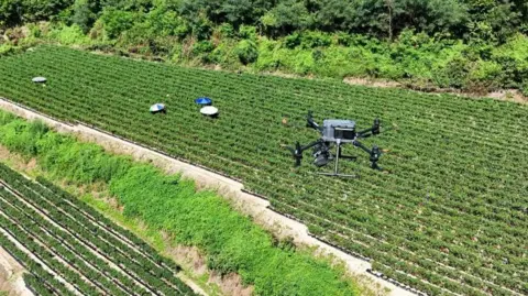 Reuters A drone view of a drone flying over farmland in South Korea