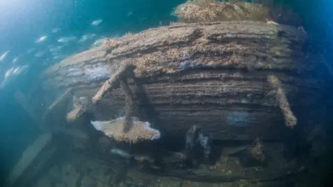 Stefan Panis A photograph taken underwater. A large piece of wood which looks aged. A number of fish swim above it. 