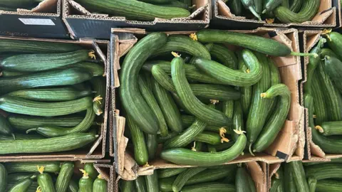 Tony Charrin / Oddbox Several cardboard boxes containing green cucumbers, some of which have curved into a u-shape.