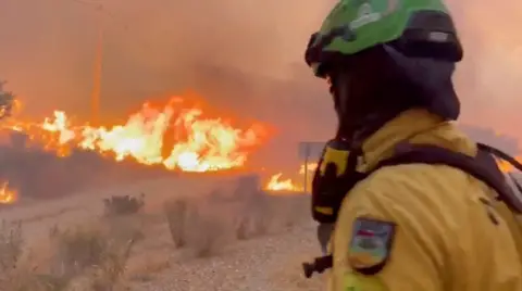 A firefighter looks at a large fire