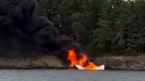 A seaplane is seen crashed onto a rocky, wooded shorelilne with flames and smoke pouring out of it.