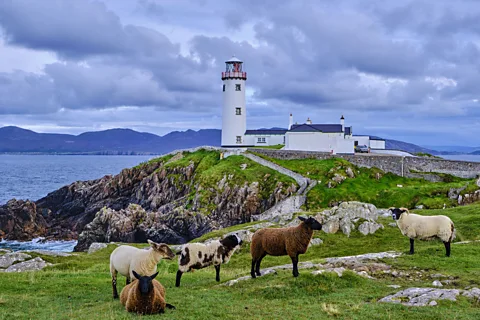 Getty Images Ireland's sense of peace is often linked to both its neutrality and its culture of hospitality (Credit: Getty Images)