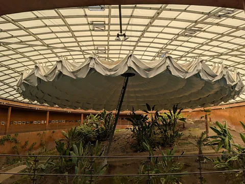 Richard Fisher The central atrium of the Residencia (Credit: Richard Fisher)