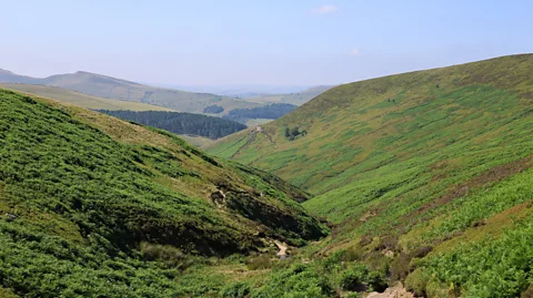 BBC/ Amy Wright A view of a green, lush valley and stream cascading down towards Kinder Reservoir with rolling hills in the distance (Credit: BBC/ Amy Wright)