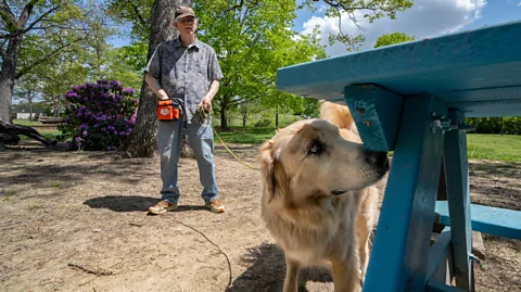 Clark DeHart for Virginia Tech Fozzie, a Labrador-Golden Retriever mix, sniffs a blue park bench, his owner in the background (Credit: Clark DeHart for Virginia Tech)